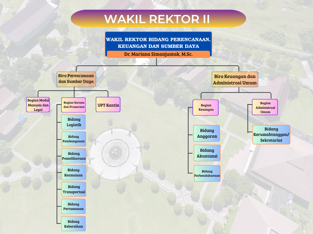 Black and White Minimalist Organizational Chart (3)