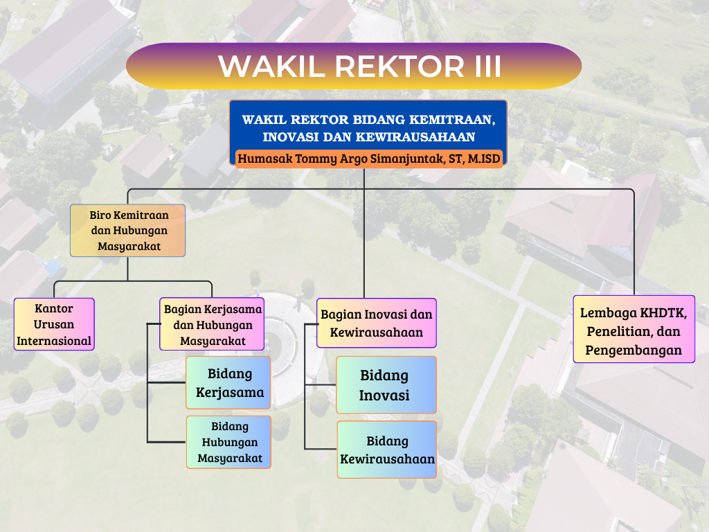 Black and White Minimalist Organizational Chart (4)