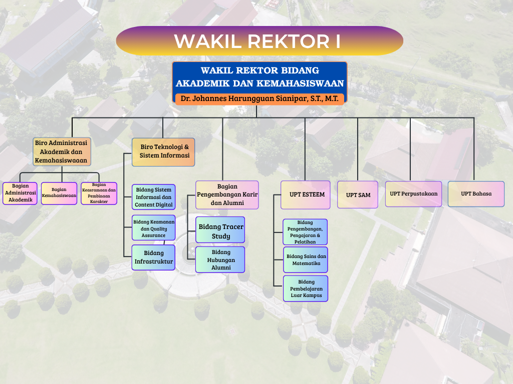 Black and White Minimalist Organizational Chart (5)