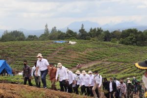 Kunjungan MenkoMaritim, Mentan, Menteri PUPR, dan Gubsu ke TSTH2, Kec. Pollung dan kawasan Food Estate Kab. Humbang Hasundutan