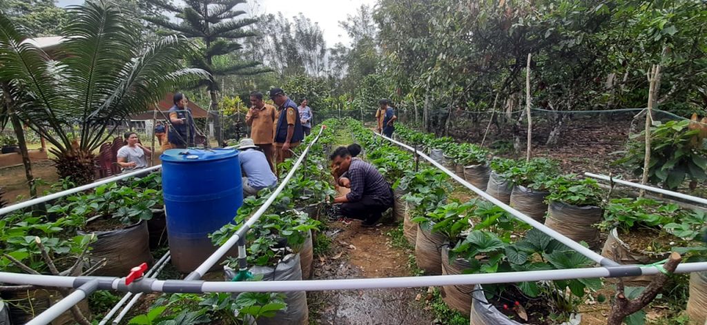 Pelatihan Instalasi Sistem Irigasi Tetes dan Pembuat Pupuk Organik Cair