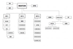 Struktur Organisasi IT Del